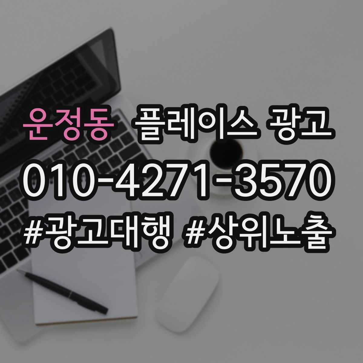 운정동 플레이스 광고