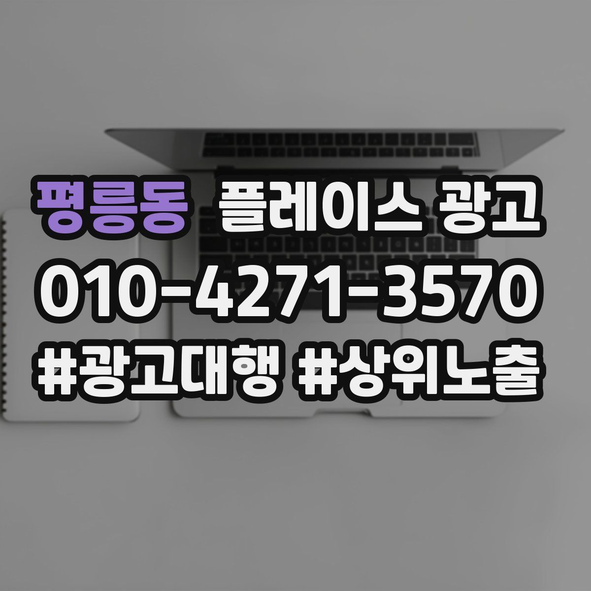 평릉동 플레이스 광고