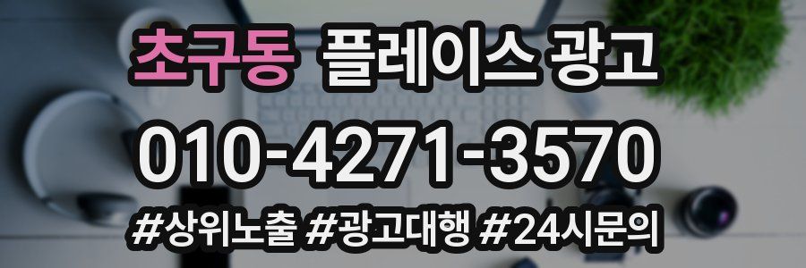 초구동 플레이스 광고