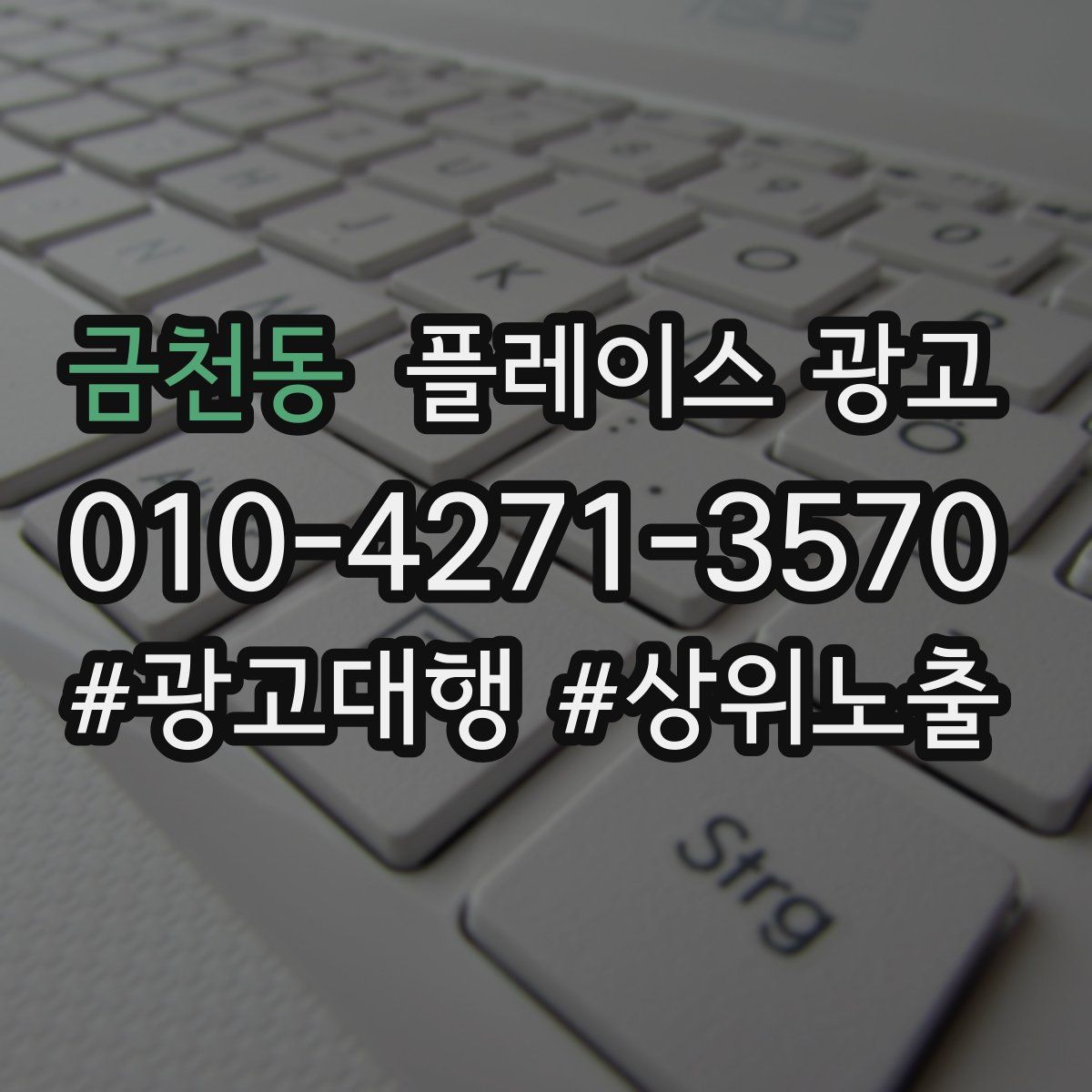 금천동 플레이스 광고