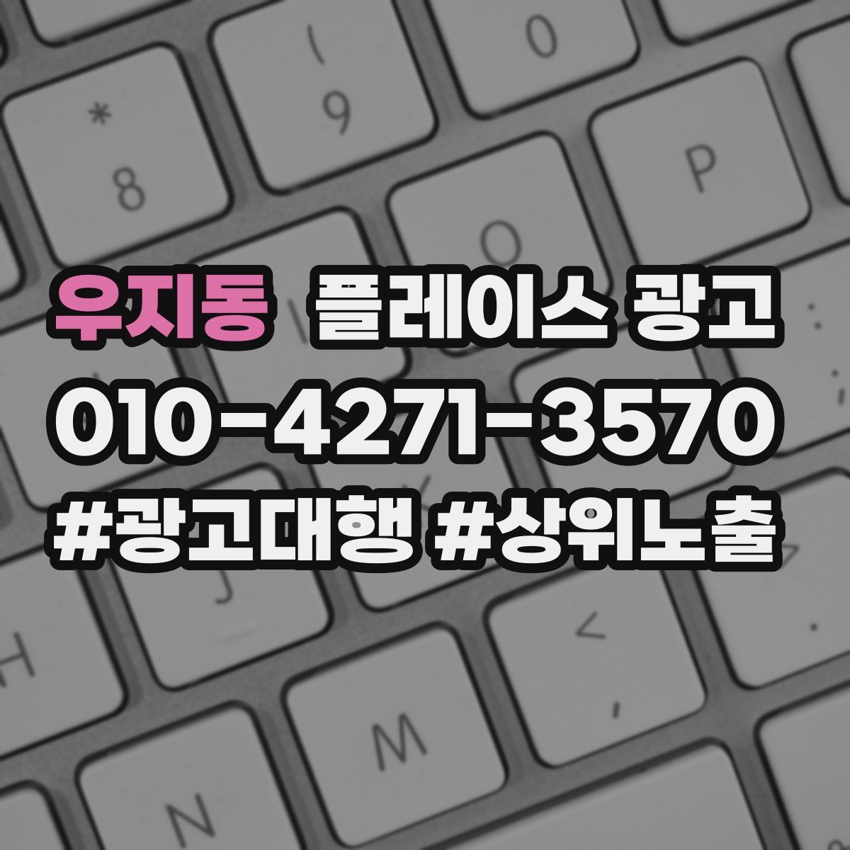 우지동 플레이스 광고