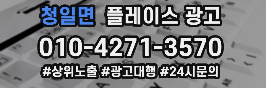 청일면 플레이스 광고