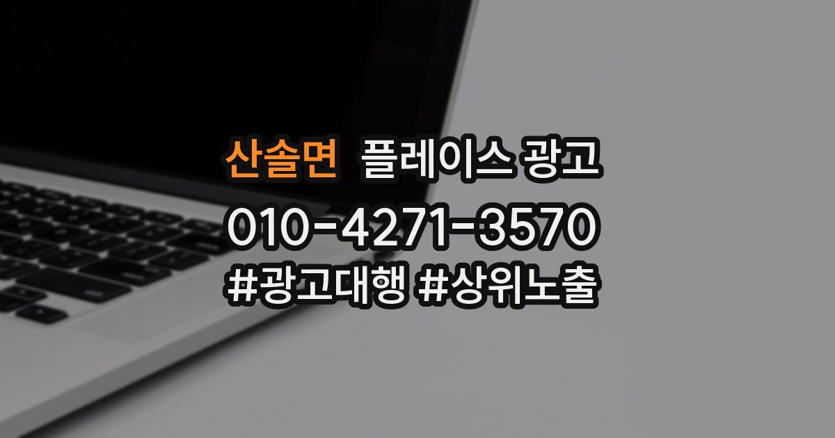 산솔면 플레이스 광고