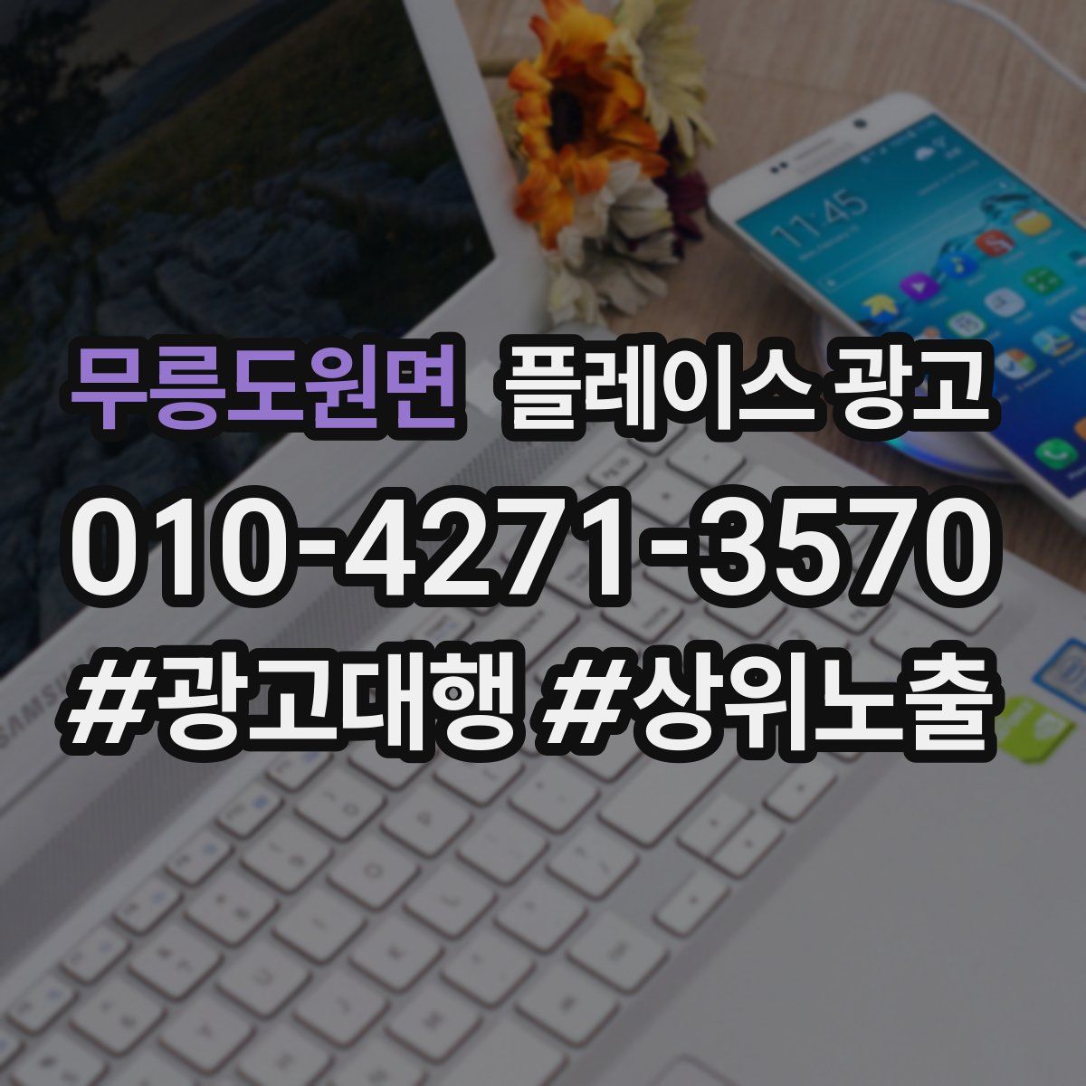 무릉도원면 플레이스 광고