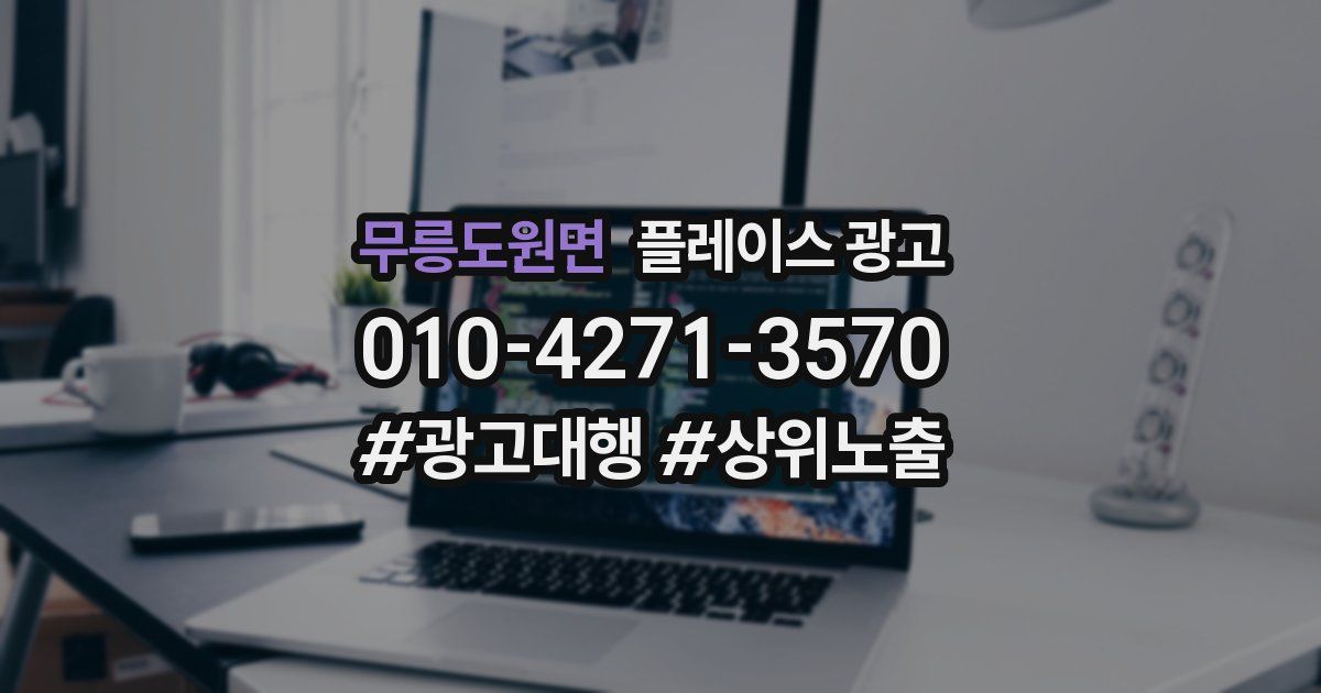 무릉도원면 플레이스 광고