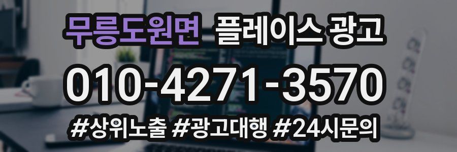 무릉도원면 플레이스 광고