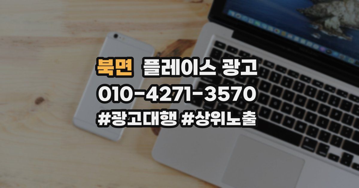 북면 플레이스 광고