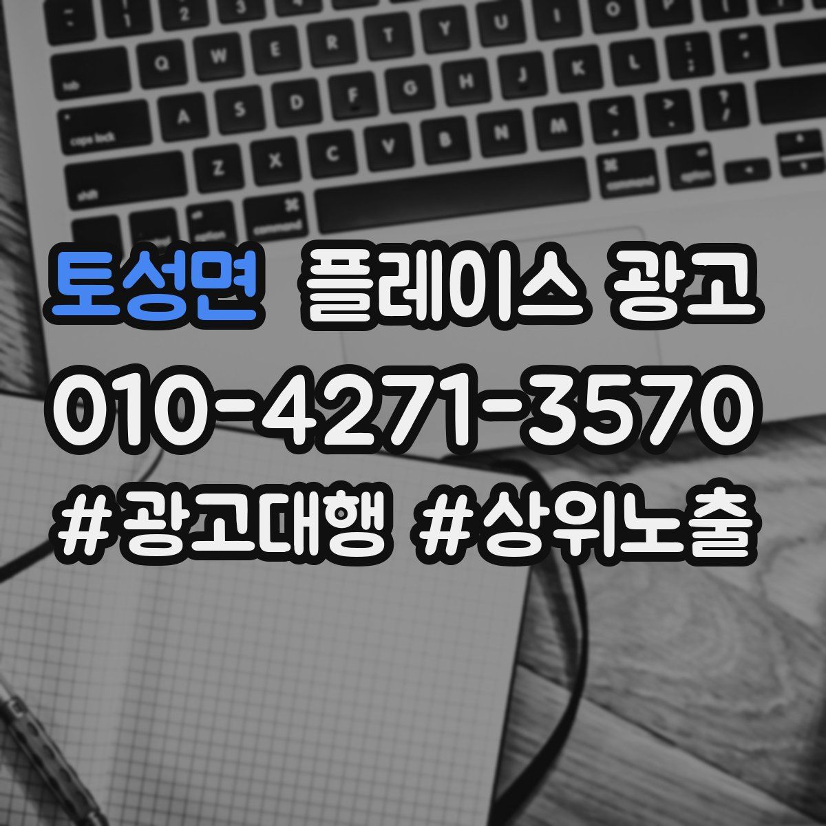 토성면 플레이스 광고