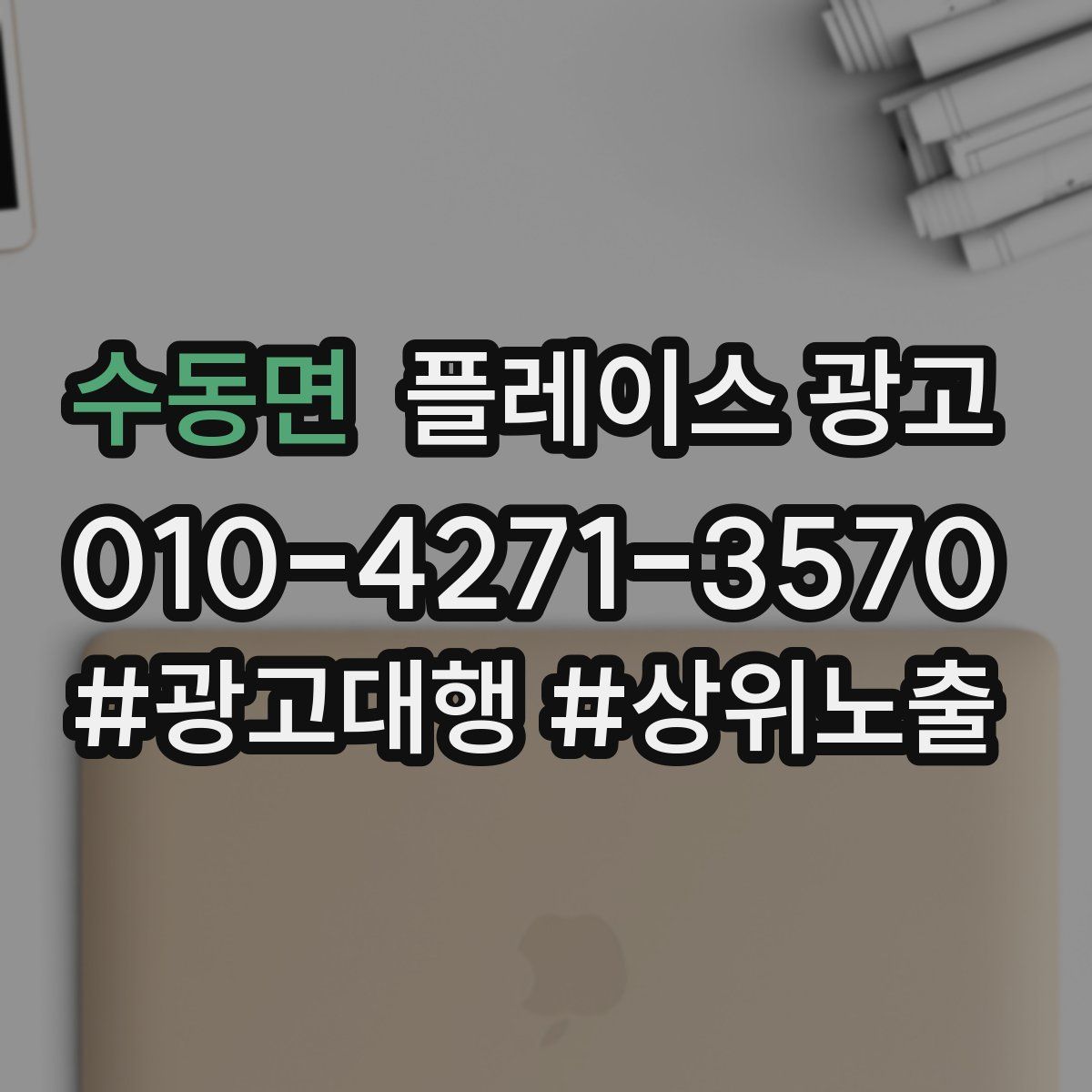 수동면 플레이스 광고