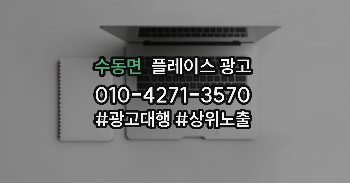 수동면 플레이스 광고