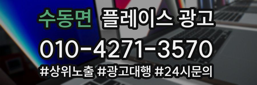 수동면 플레이스 광고