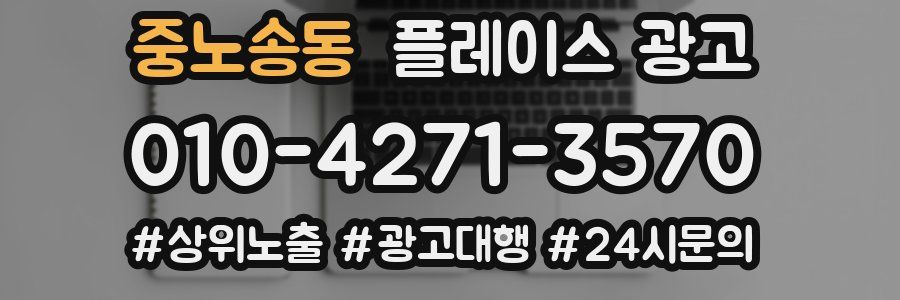 중노송동 플레이스 광고