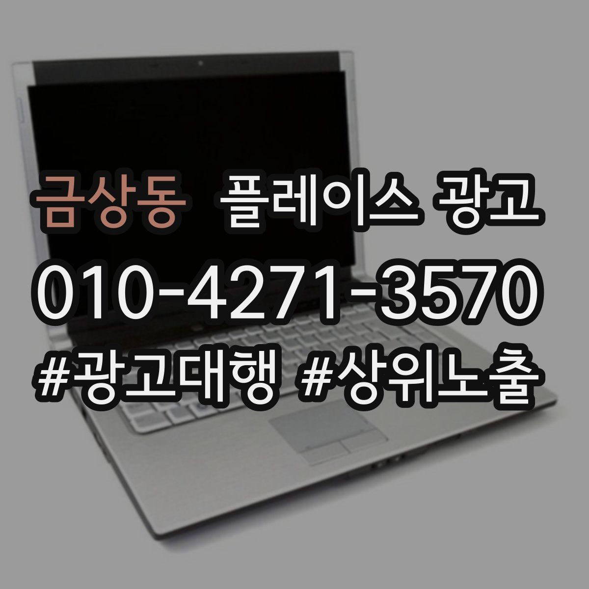 금상동 플레이스 광고