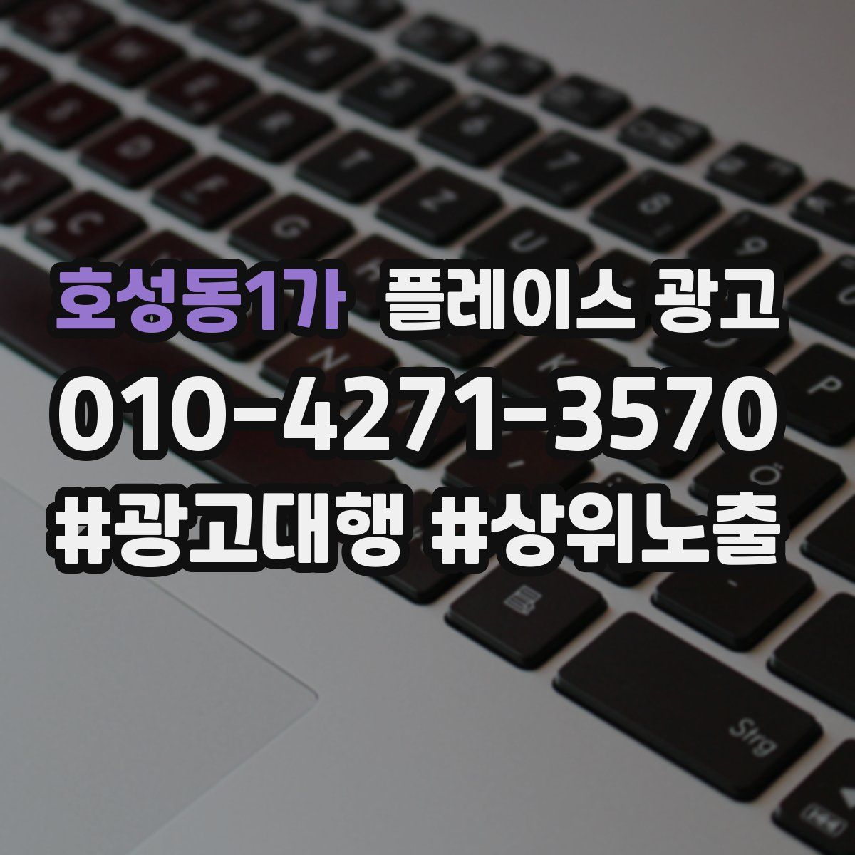 호성동1가 플레이스 광고