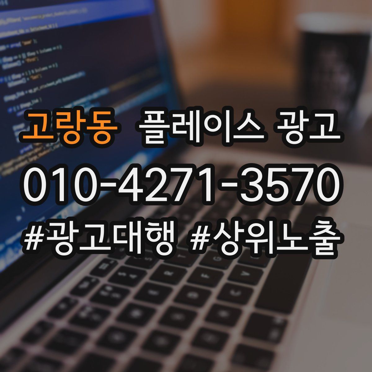 고랑동 플레이스 광고