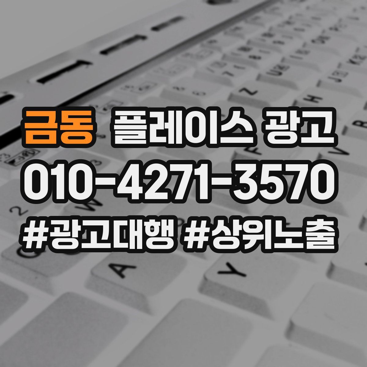 금동 플레이스 광고