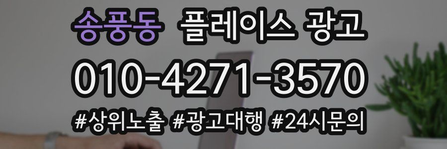 송풍동 플레이스 광고