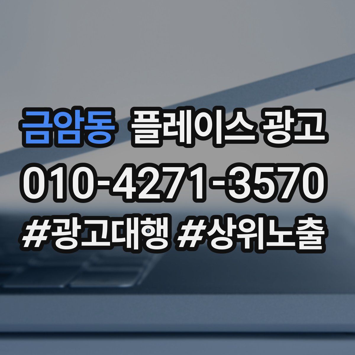 금암동 플레이스 광고