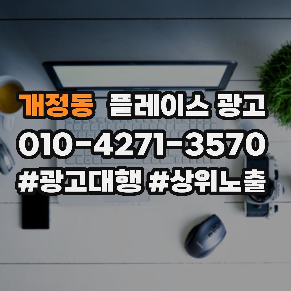 개정동 플레이스 광고