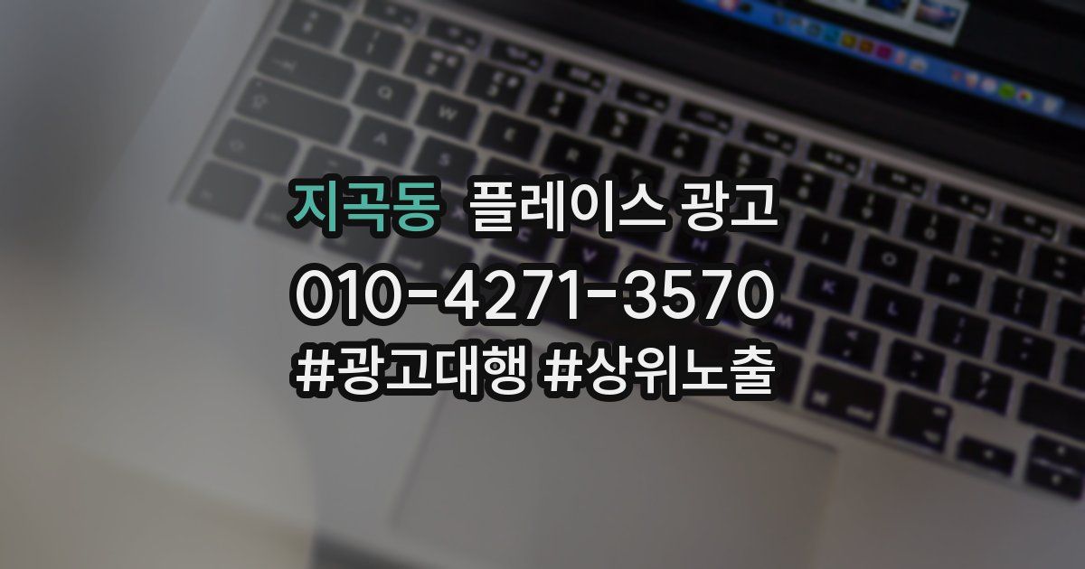 지곡동 플레이스 광고