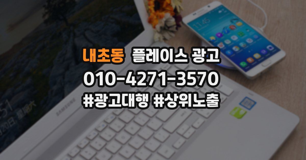내초동 플레이스 광고