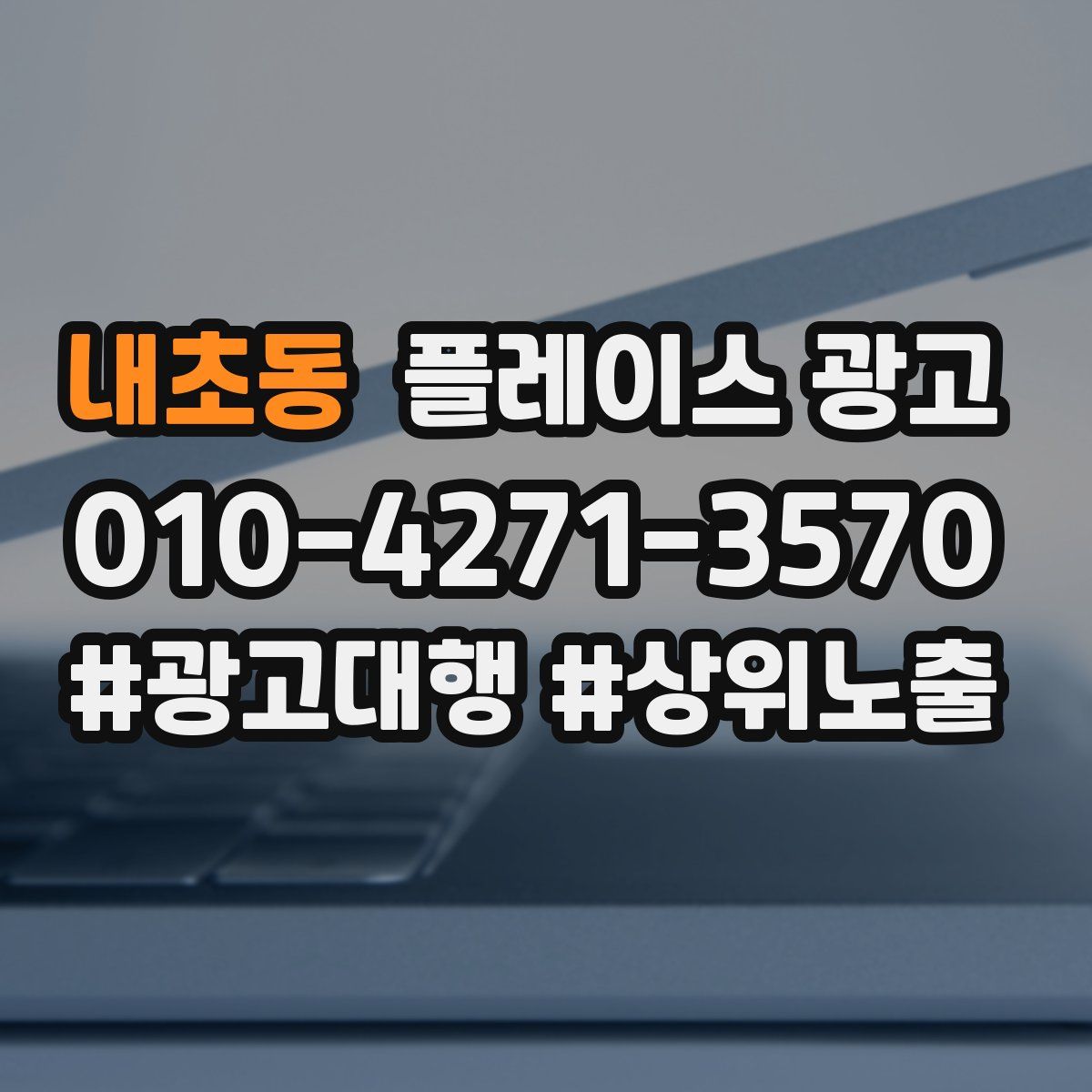 내초동 플레이스 광고