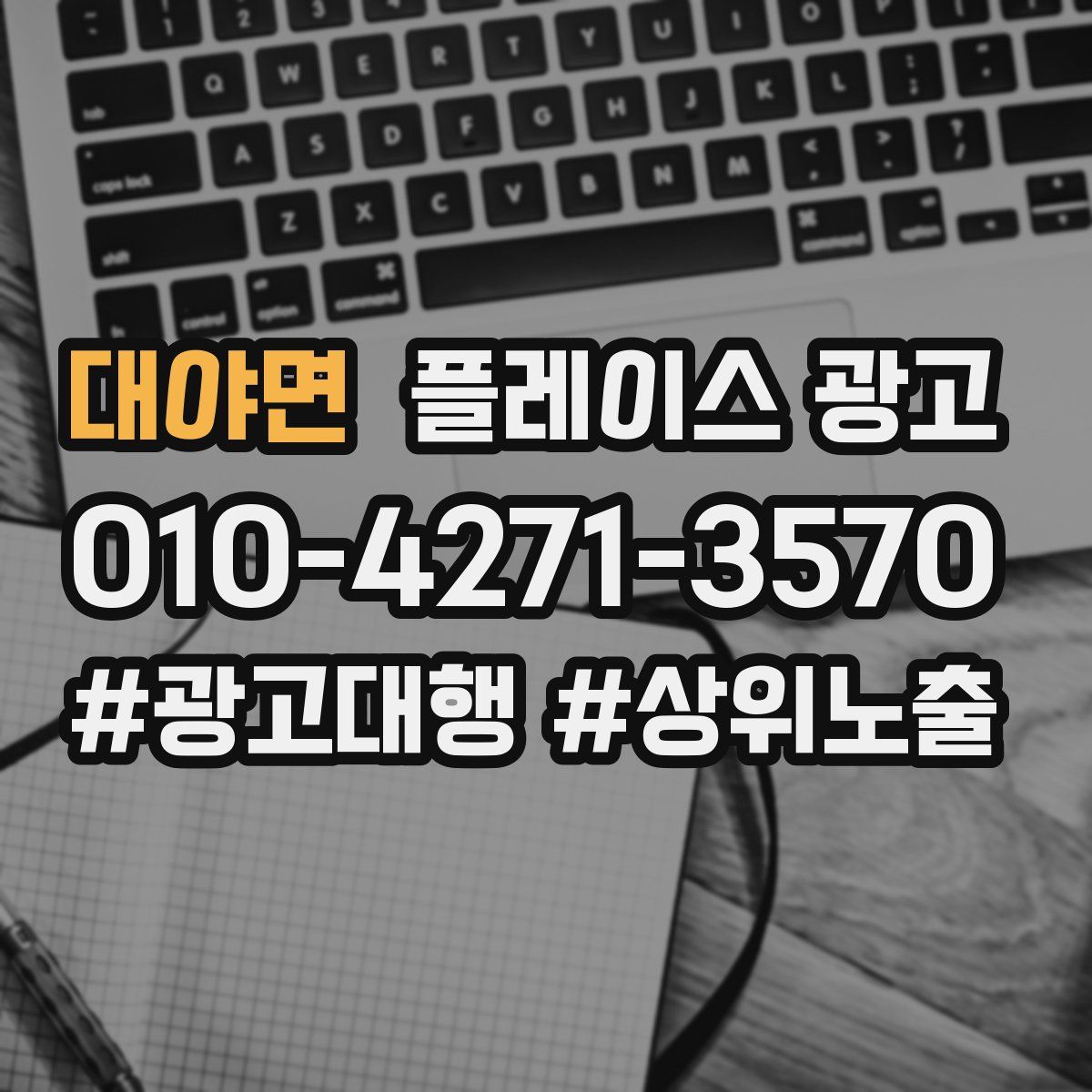 대야면 플레이스 광고