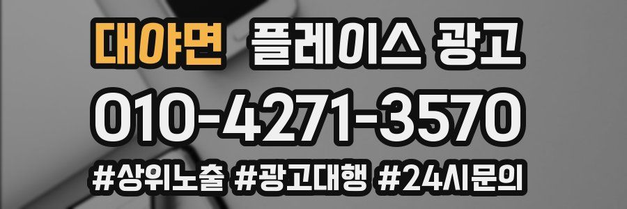 대야면 플레이스 광고