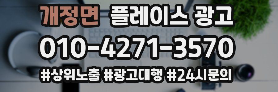 개정면 플레이스 광고