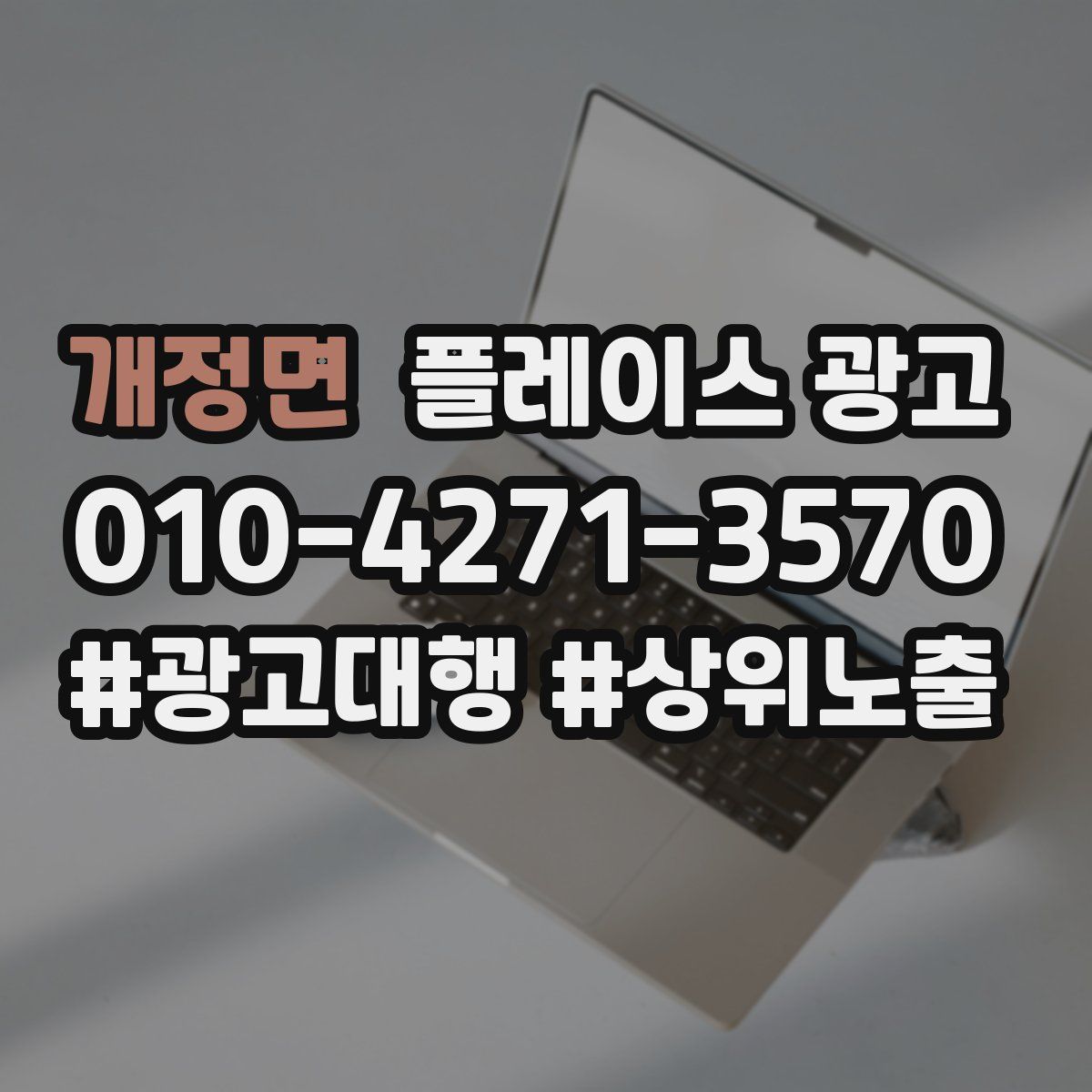 개정면 플레이스 광고