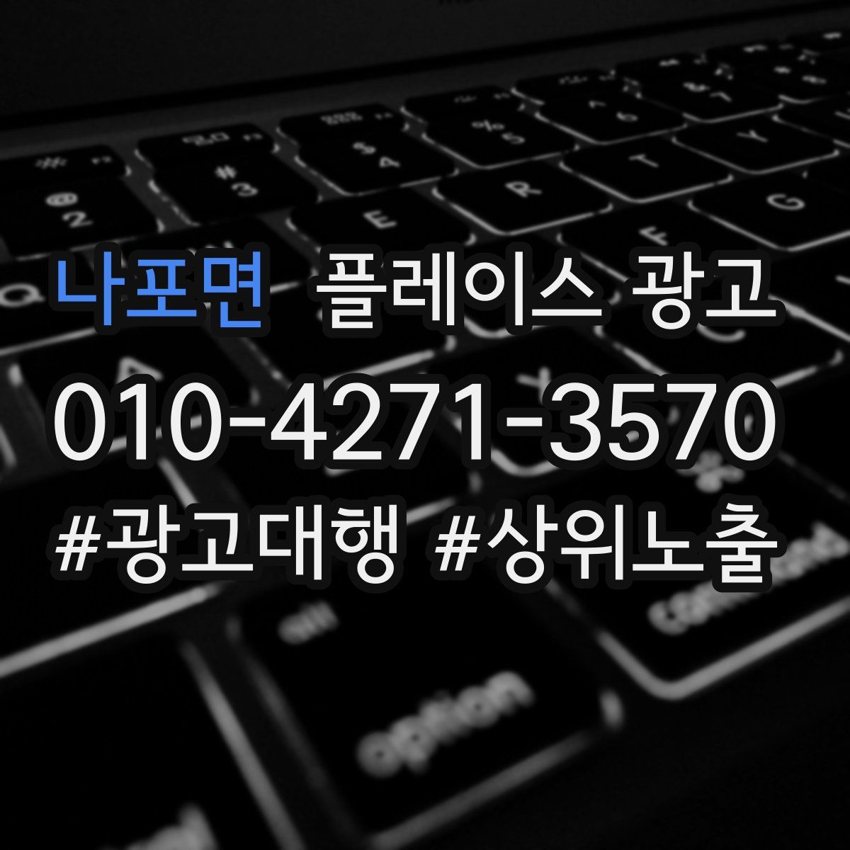 나포면 플레이스 광고