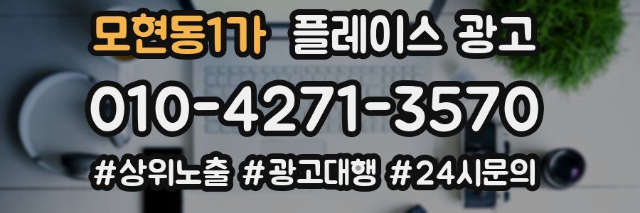 모현동1가 플레이스 광고