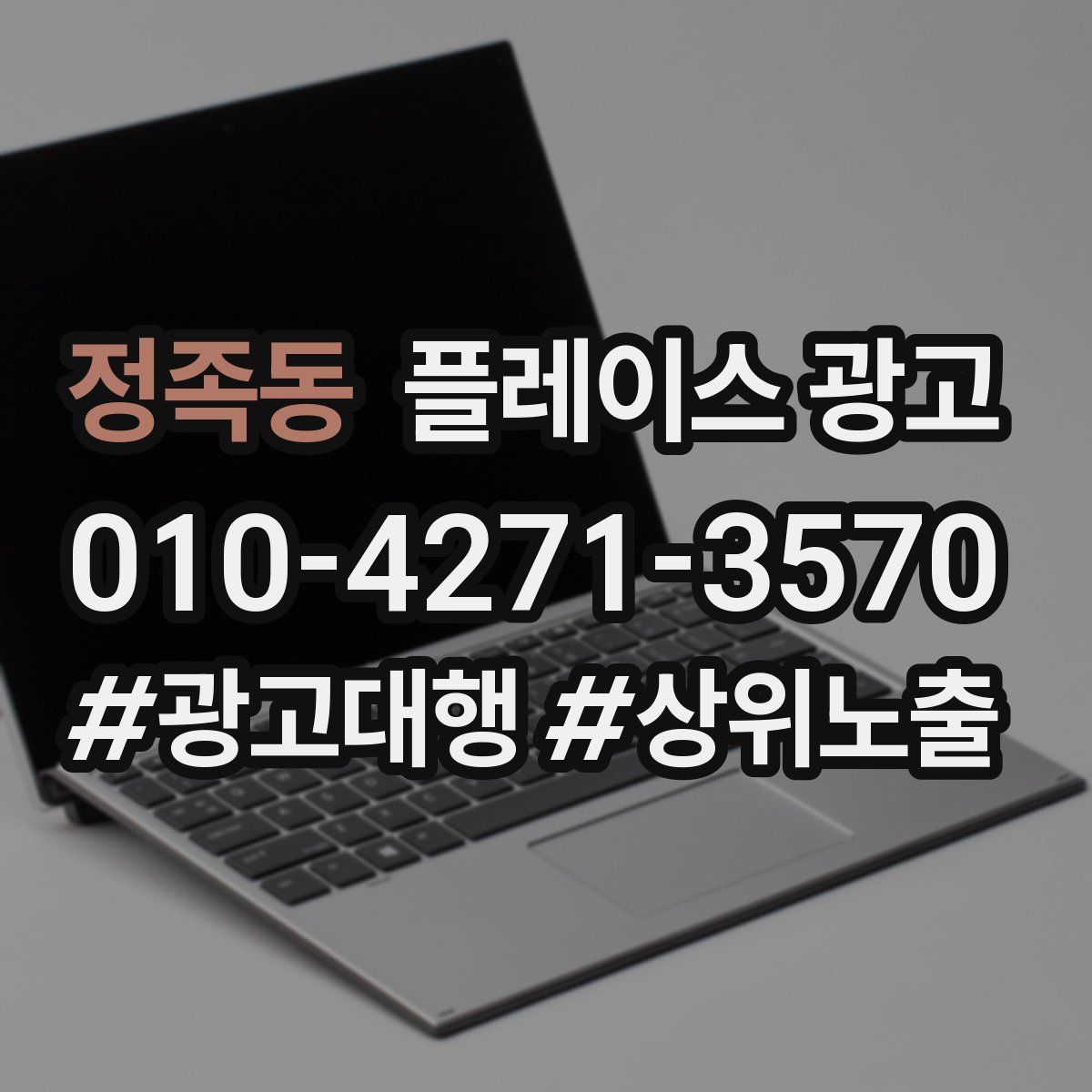 정족동 플레이스 광고