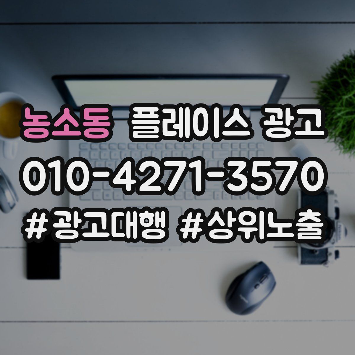 농소동 플레이스 광고