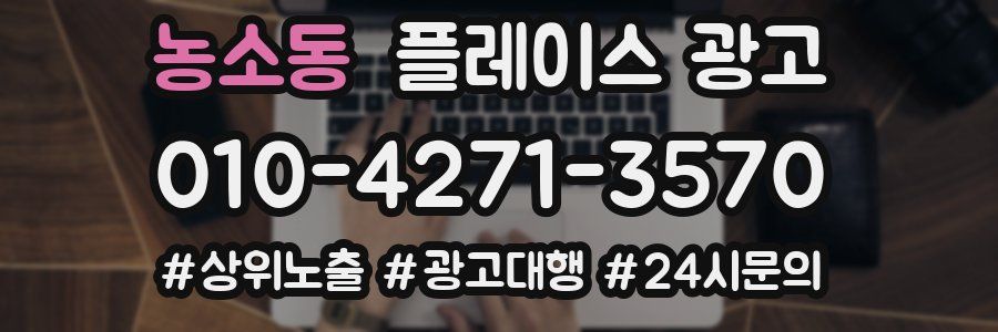 농소동 플레이스 광고