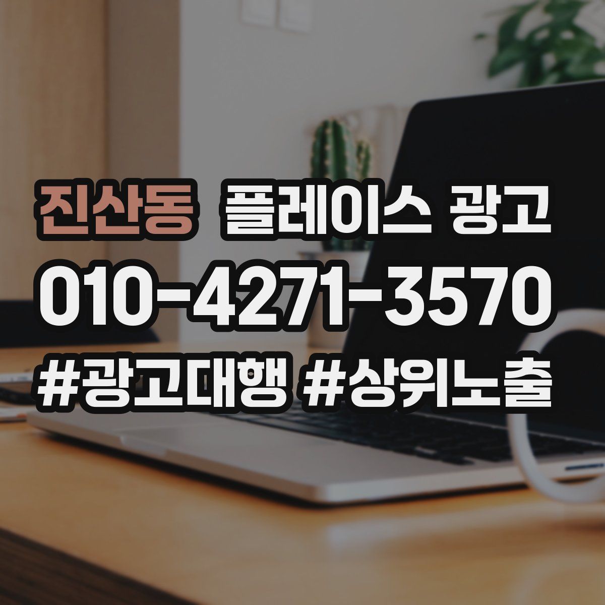 진산동 플레이스 광고