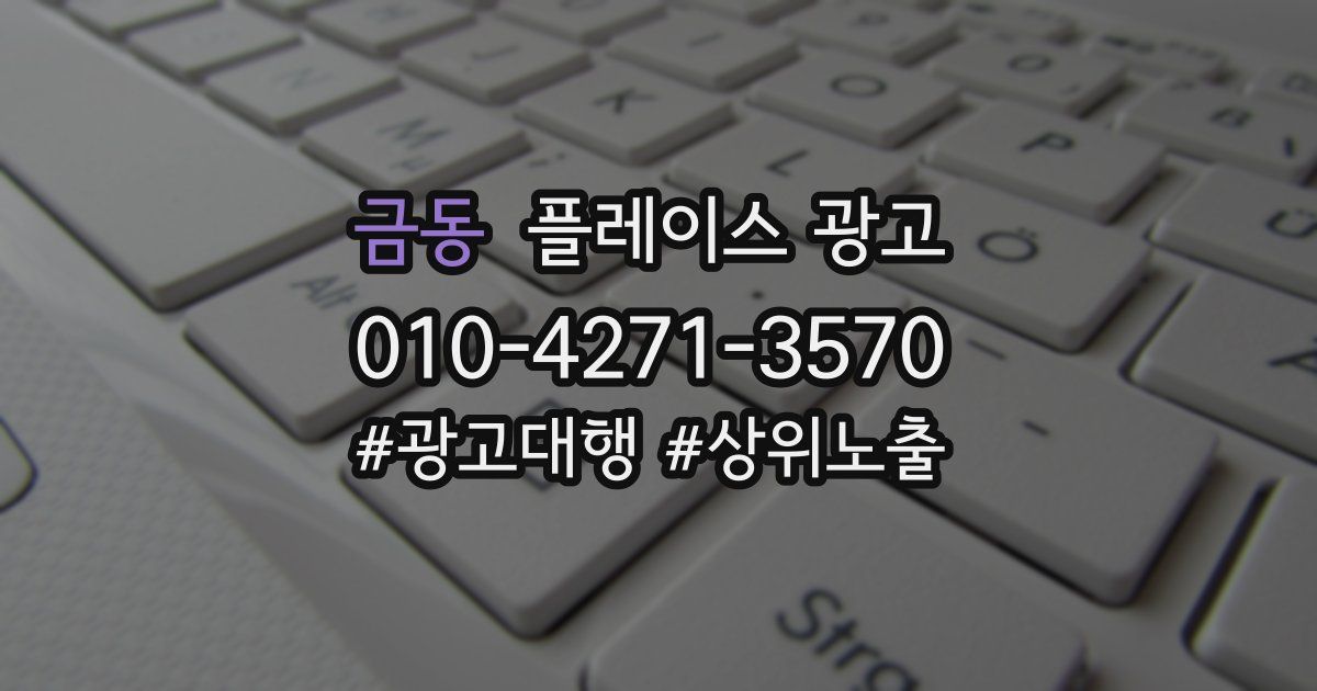 금동 플레이스 광고