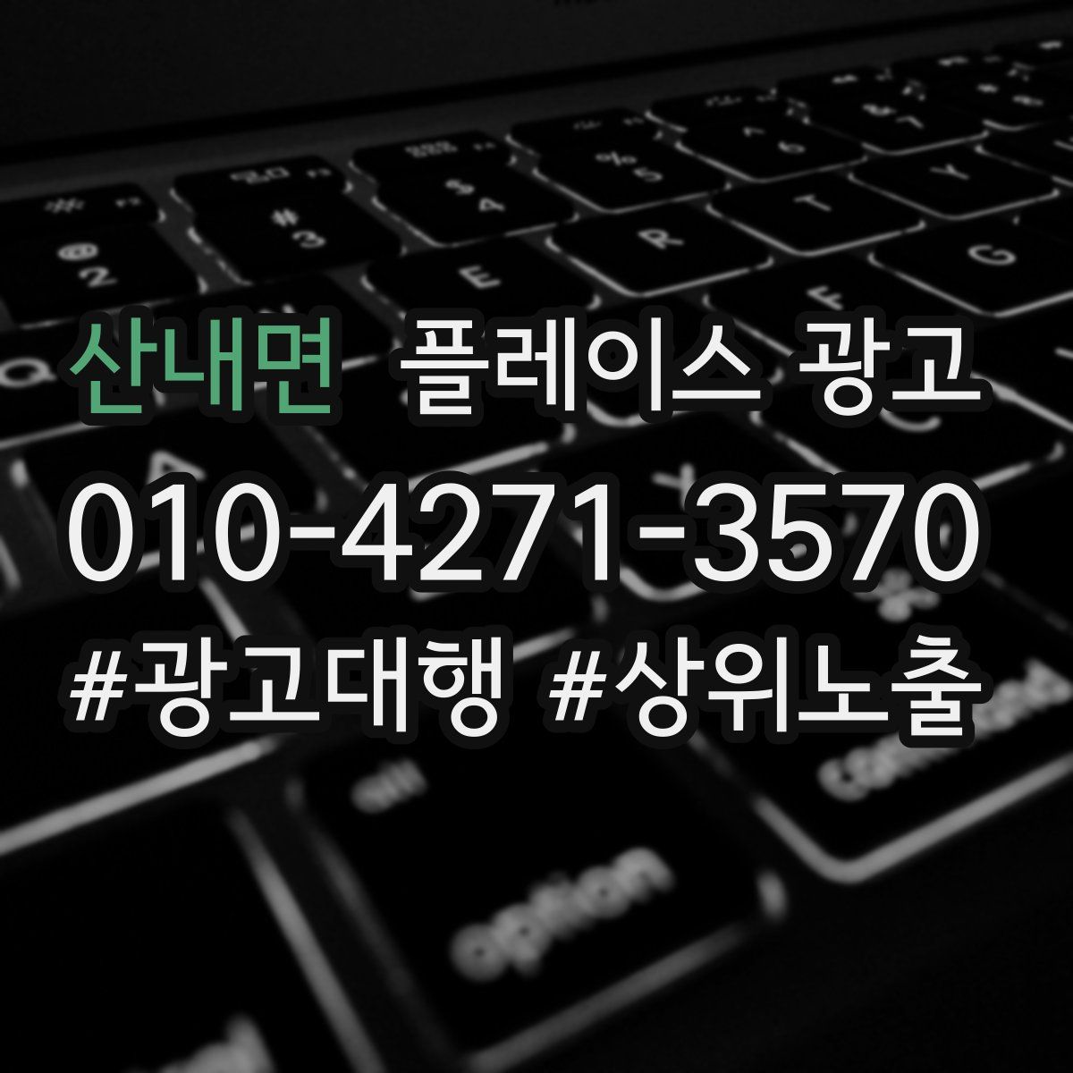 산내면 플레이스 광고