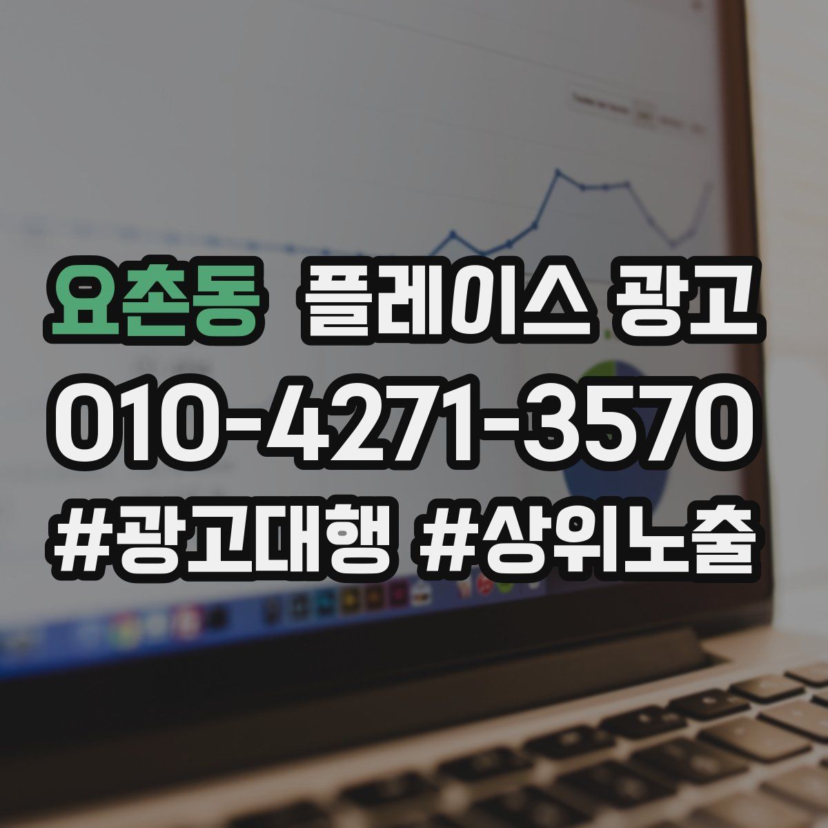 요촌동 플레이스 광고