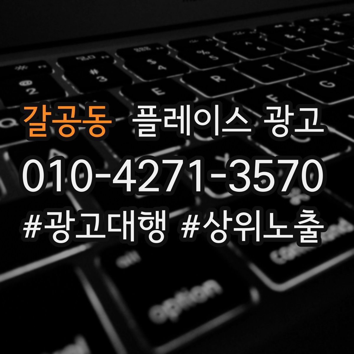 갈공동 플레이스 광고