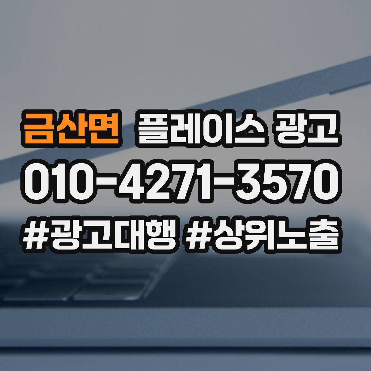 금산면 플레이스 광고