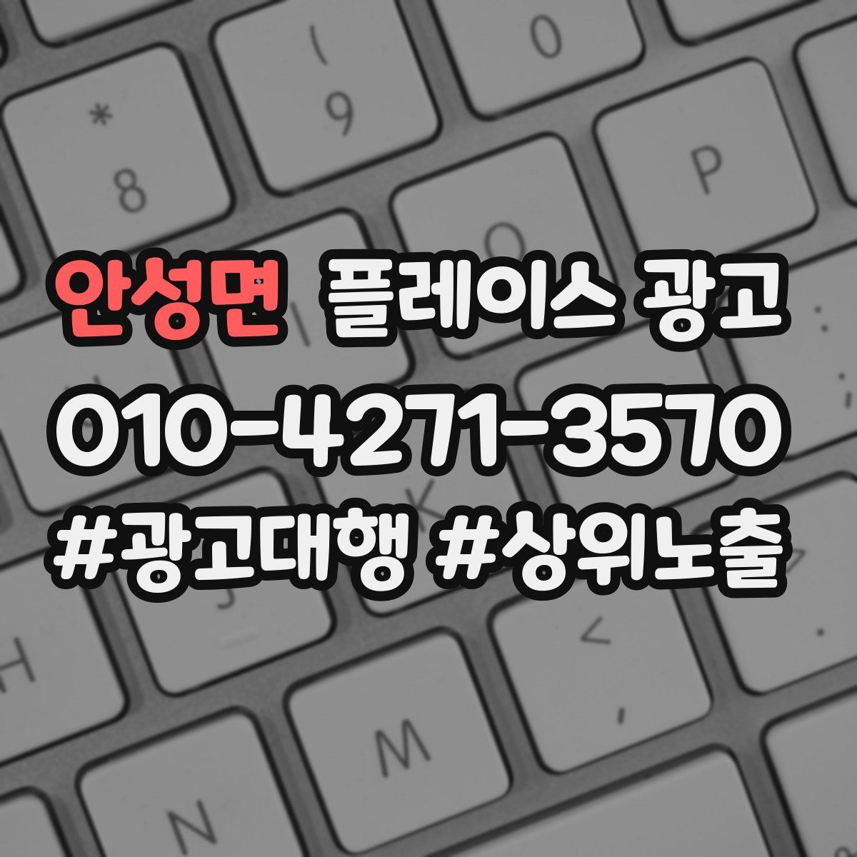안성면 플레이스 광고