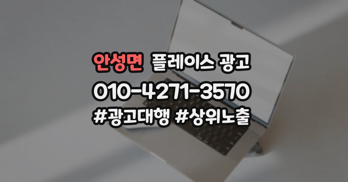 안성면 플레이스 광고