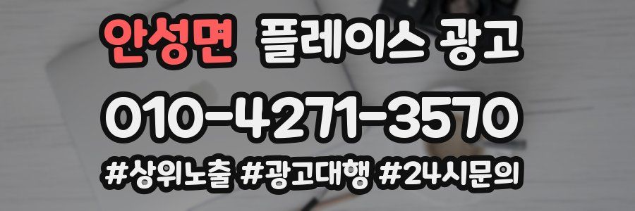 안성면 플레이스 광고