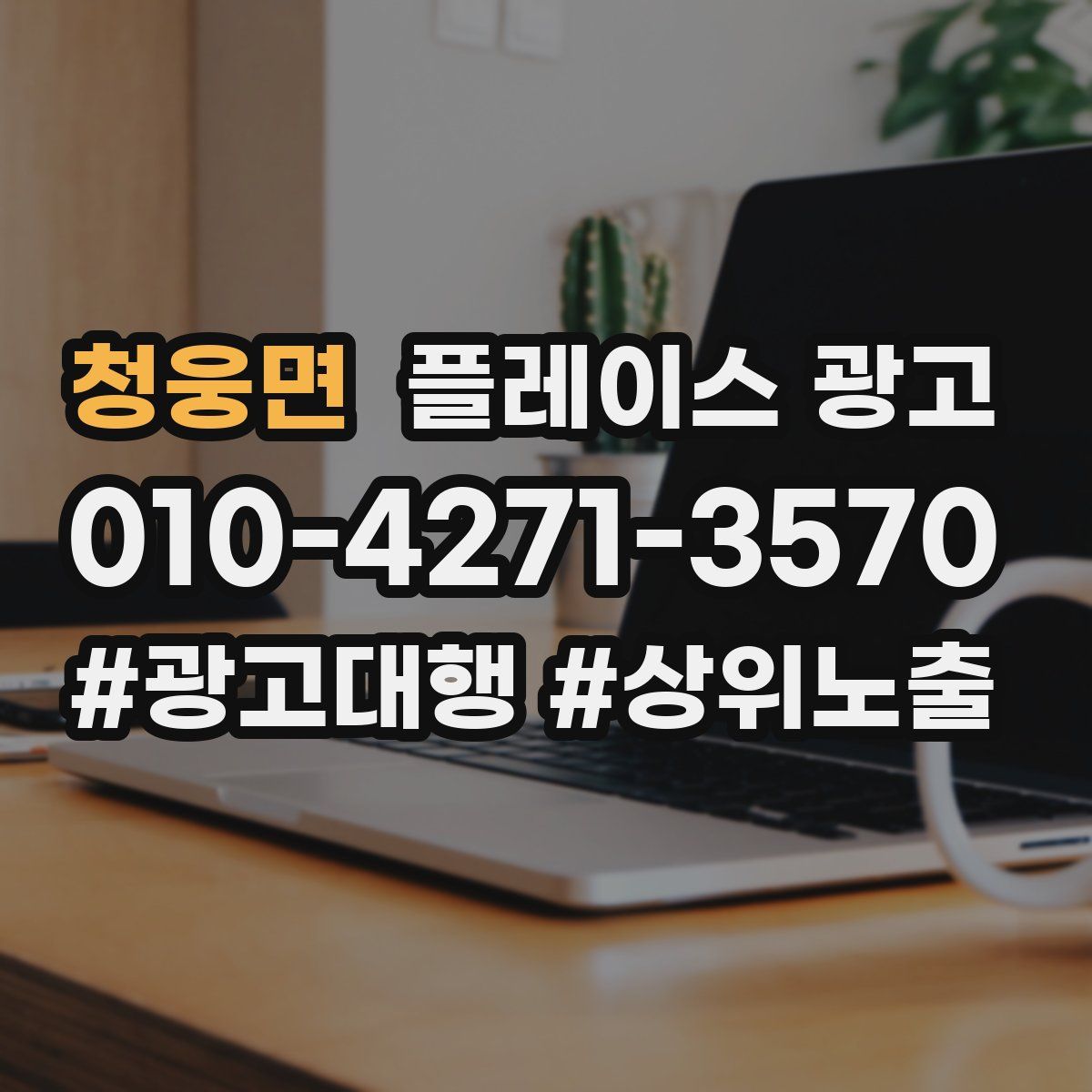 청웅면 플레이스 광고