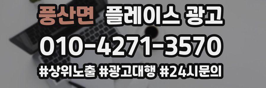 풍산면 플레이스 광고