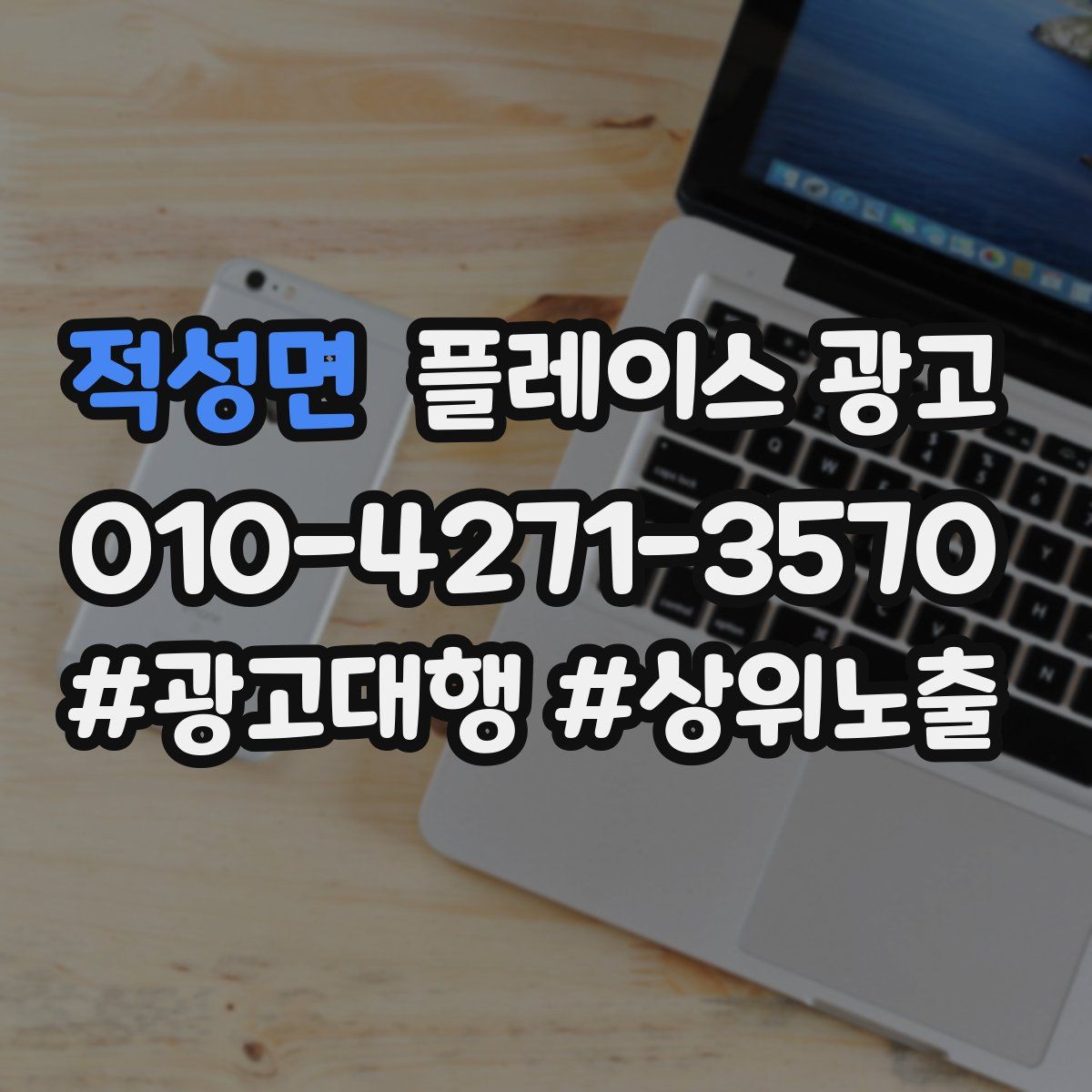 적성면 플레이스 광고