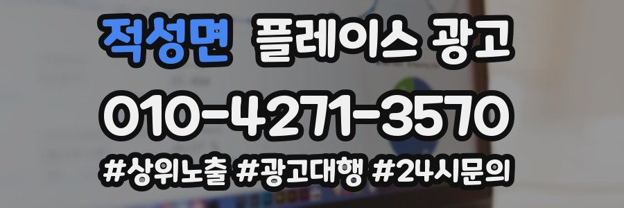 적성면 플레이스 광고