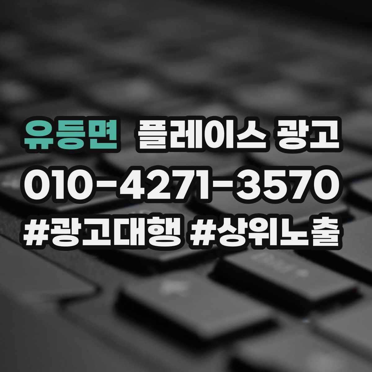 유등면 플레이스 광고