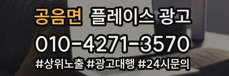 공음면 플레이스 광고